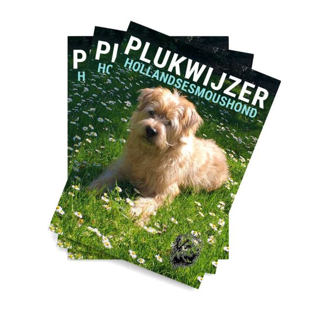 plukwijzer.jpg